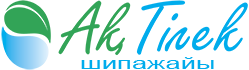 Официальный сайт санаторий Ақ-Тілек, Санаторий Сарыагаш, Курорты казахстана, Санатории Казахстана, санаторий актилек, курорт, актилек, лечение, сарыагаш